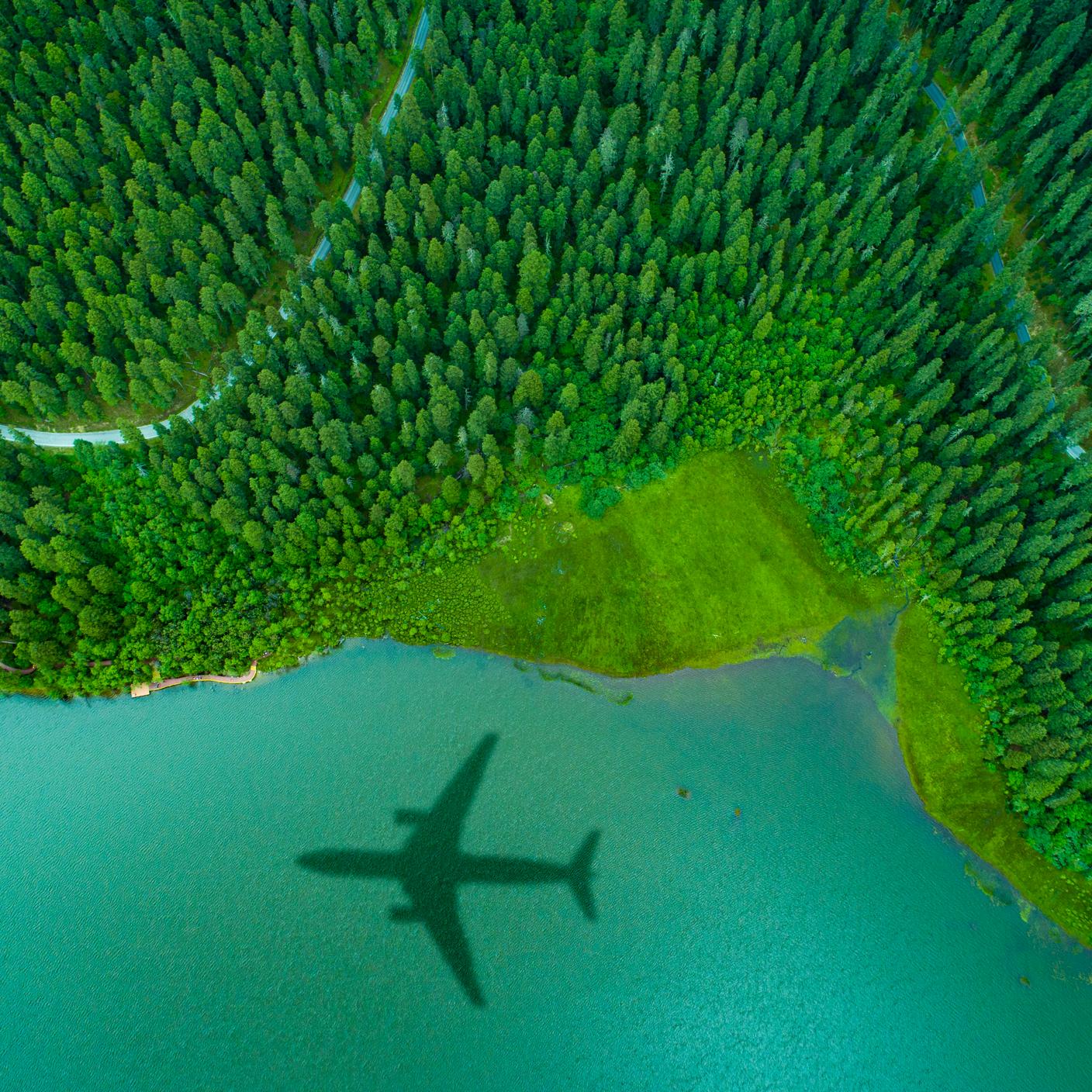 L’ombre d’un avion au-dessus d’une forêt sur une île, concept vert